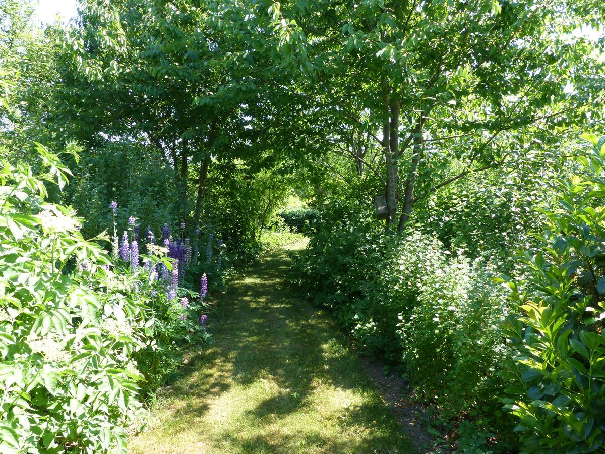 Sysselbjerg Bed & Breakfast Almind